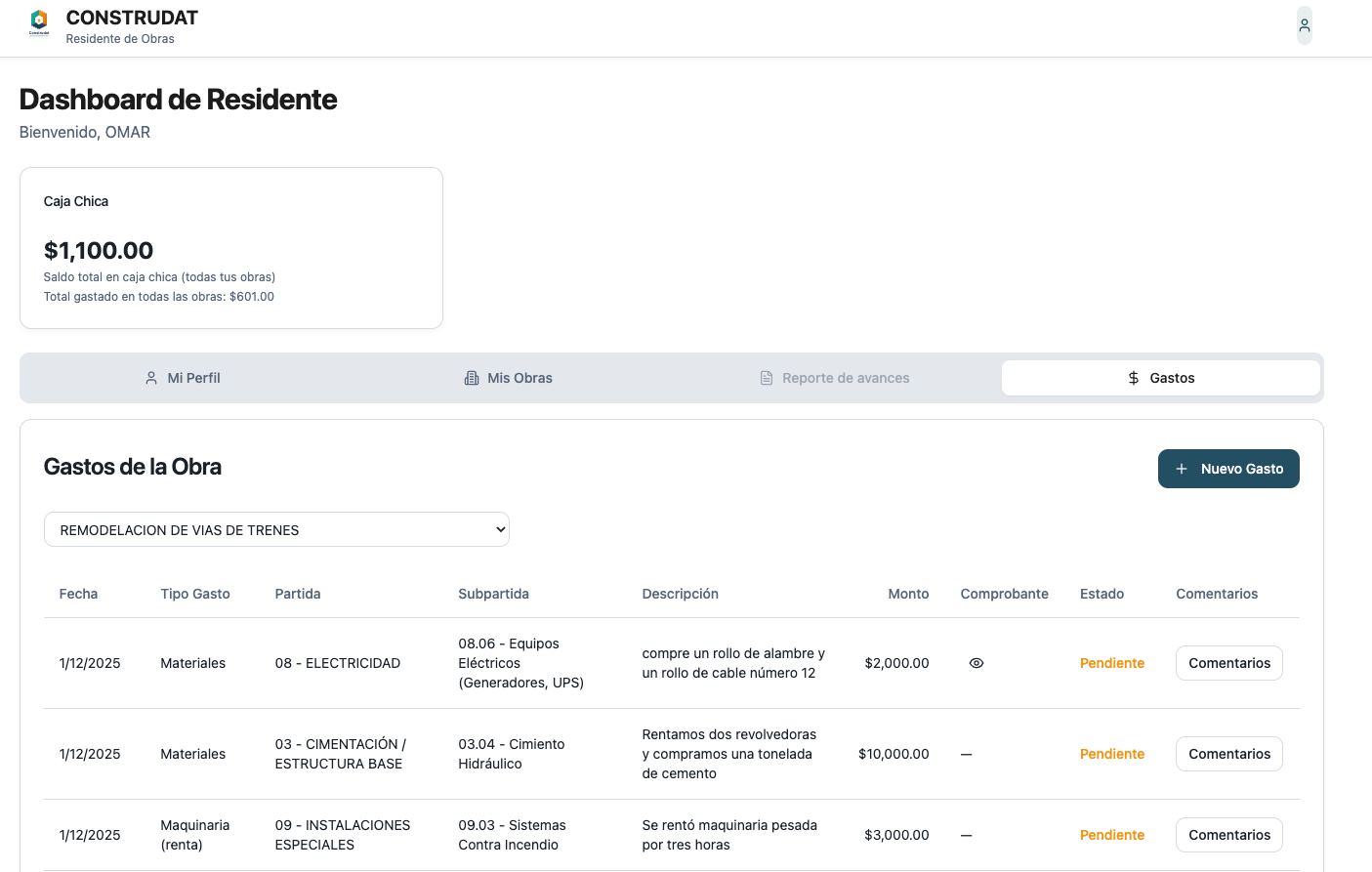 CONSTRUDAT Residente